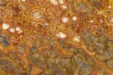 Polished Morgan Hill Poppy Jasper Slab - California #316102-1